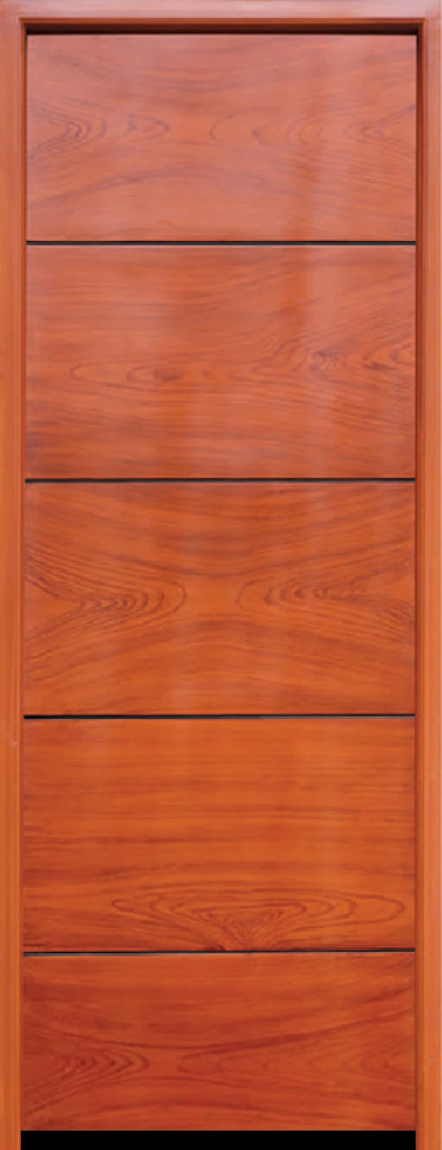 5 PH fibre door